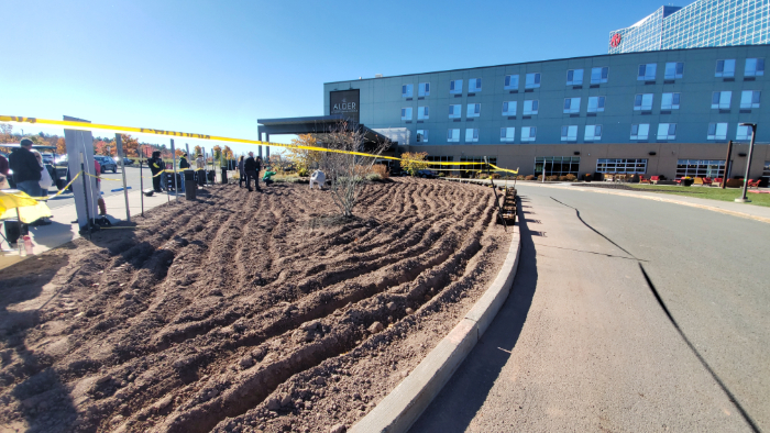 New Daffodil Project Memorial Garden at The Alder Hotel (VIDEO) — Mid Hudson News (Poughkeepsie)
